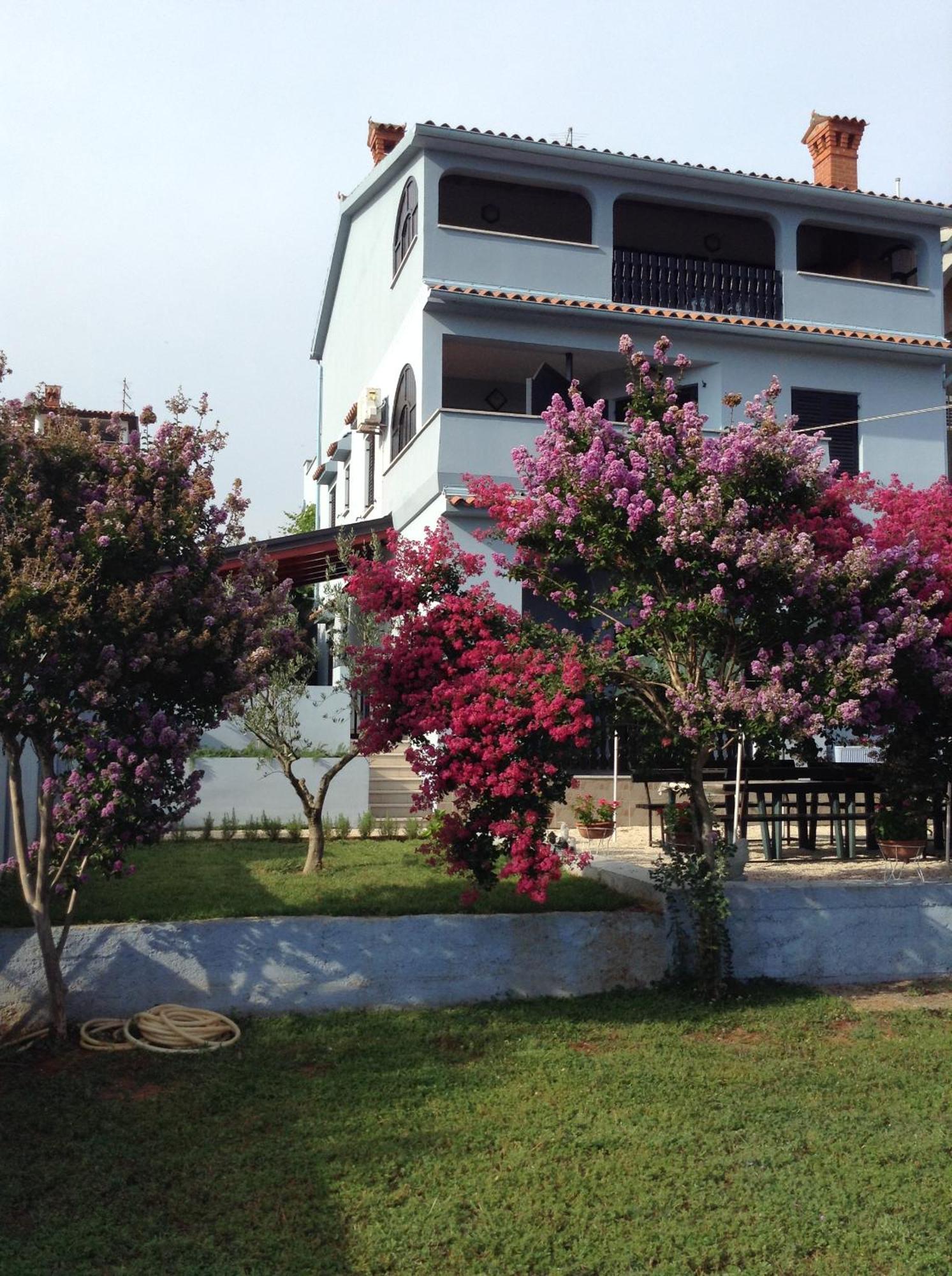 The Blue House Διαμέρισμα Vinkuran Εξωτερικό φωτογραφία