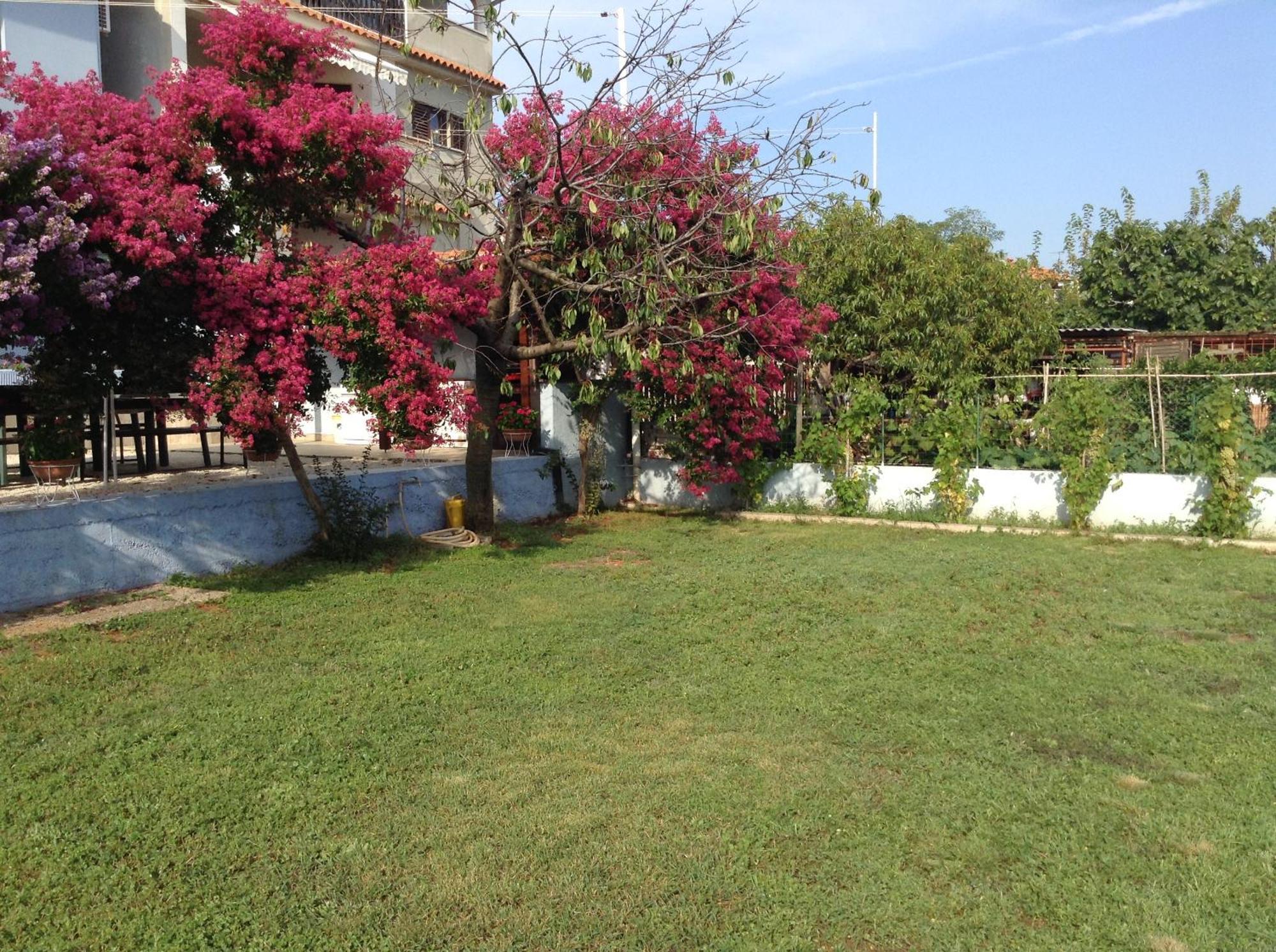 The Blue House Διαμέρισμα Vinkuran Εξωτερικό φωτογραφία